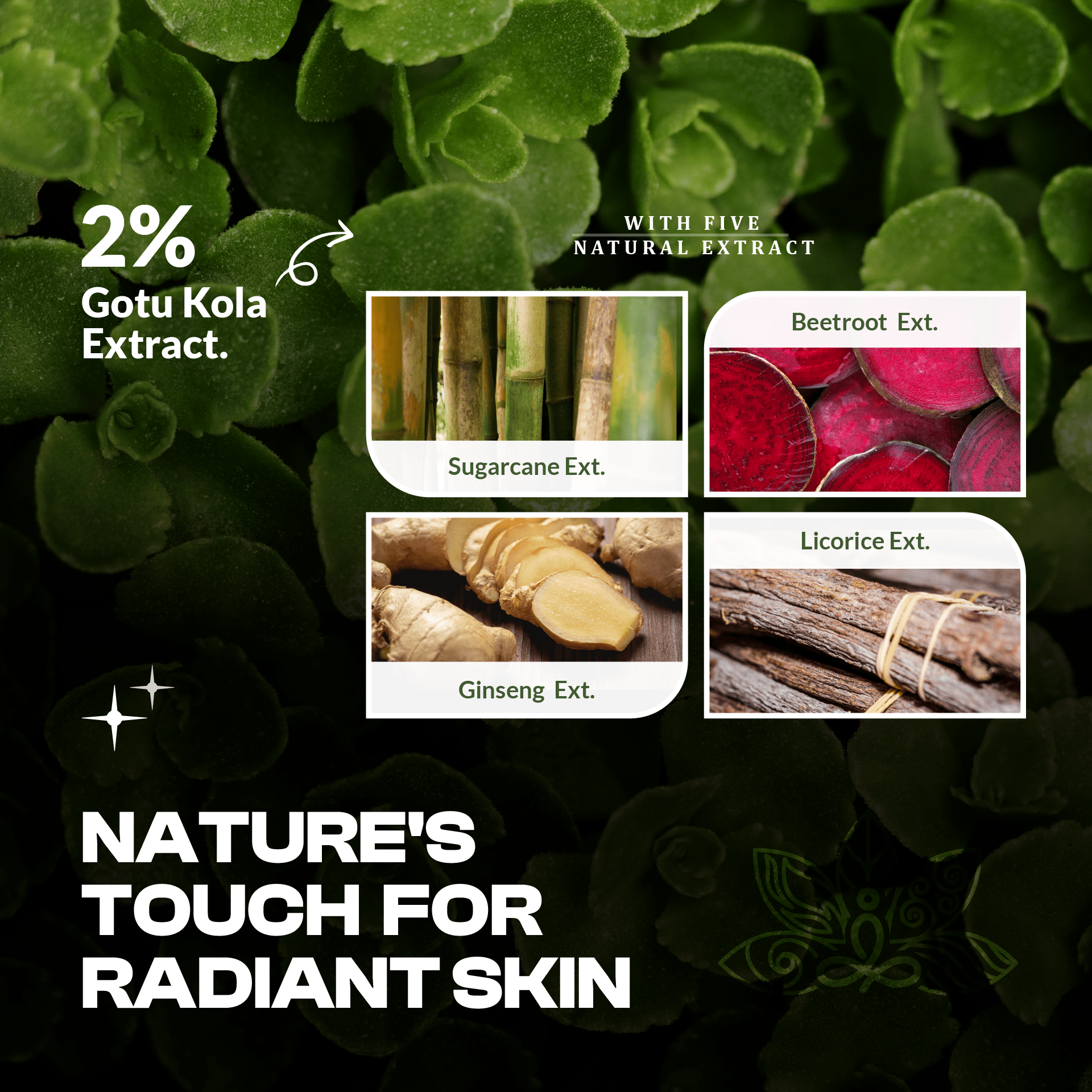 Panchkruti Dark Spot Removal Serum With Glycolic Acid, Alpha Arbutin & Gotu Kola Ext.